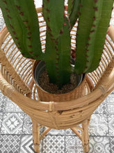 Download image to view Gallery, Rattan flower basket
